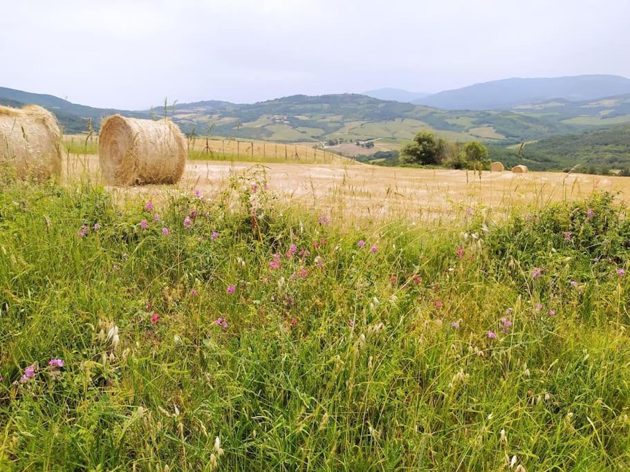 Casa Contadina In Borgo Medievale, Tuscany Monteguidi エクステリア 写真